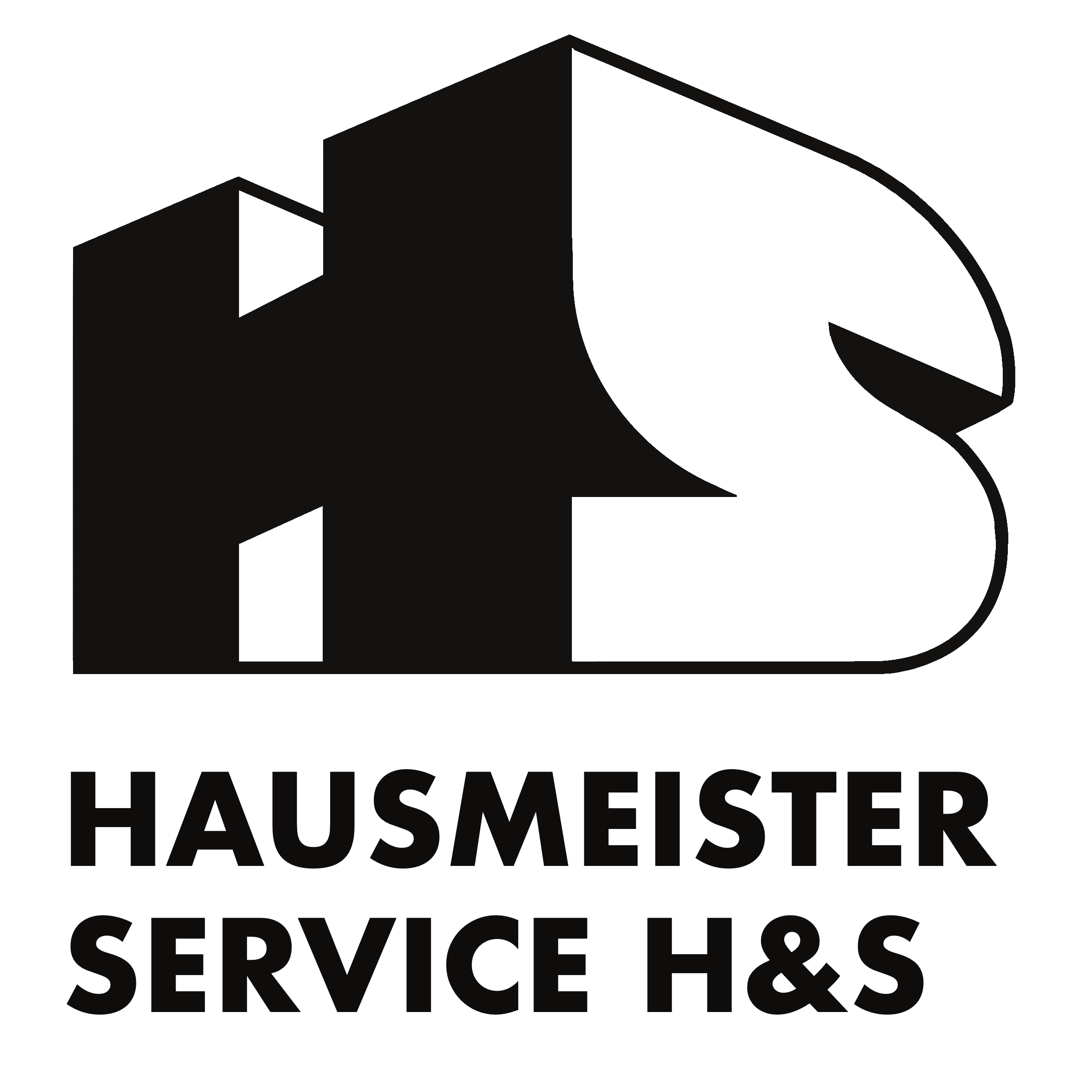 H & S Logo